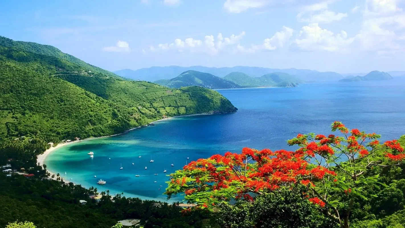 高性能高效创意